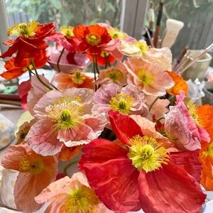 Meet your Posher, Rachelle